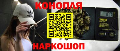 прущие грибы Краснознаменск