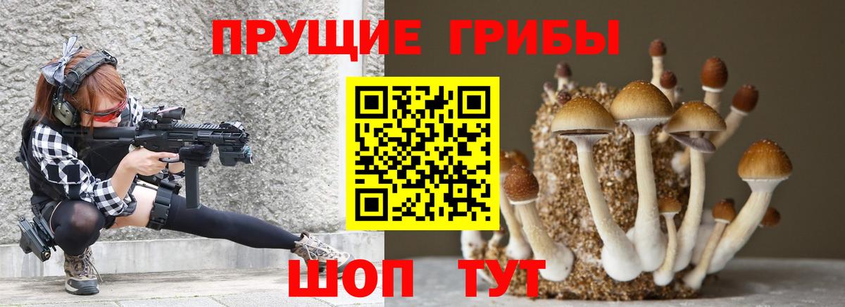 Галлюциногенные грибы MAGIC MUSHROOMS  Вход с VPN  Каспийск 