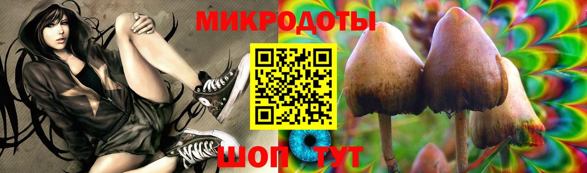 Галлюциногенные грибы ЛСД Каспийск